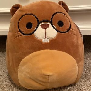 NWT Squishmallow